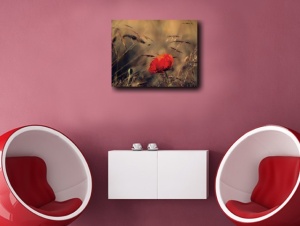 Tablou Canvas - Floare De Mac In Lan de Grau - Img 5