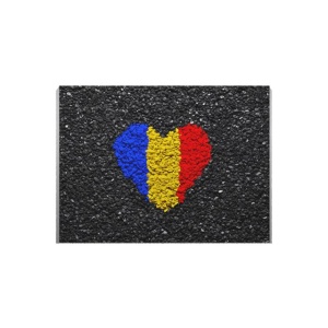 Tablou Canvas Inima Tricolora - Img 2