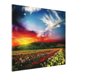 Tablou Canvas - Lan De Flori - Img 2