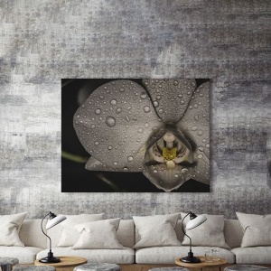 Tablou Canvas Orhidee Neagra - Img 3