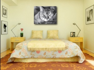Tablou Canvas - Pisica - Img 2