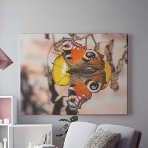 Tablou Canvas Soft Wings