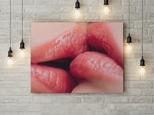 Tablou Canvas Teasing - Img 2