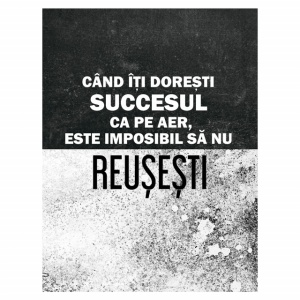 Tablou Motivational - Cand Iti Doresti Succesul Ca Pe Aer - Img 4