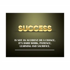 Tablou Motivational - Definition of success - Img 2