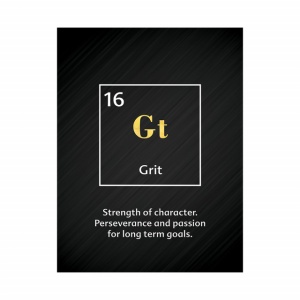 Tablou Motivational - Grit (element) - Img 2