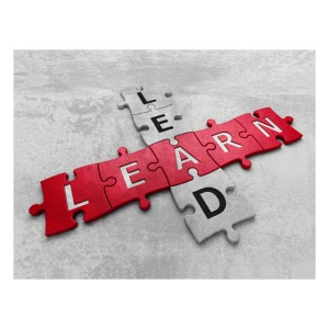 Tablou Motivational - Lead, Learn - Img 4