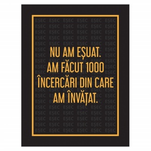 Tablou Motivational - Nu Am Esuat - Img 4