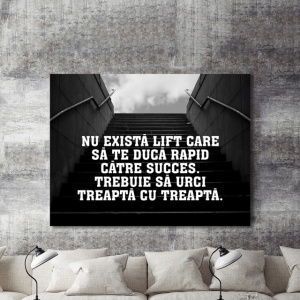 Tablou Motivational - Nu Exista Lift Spre Succes - Img 2