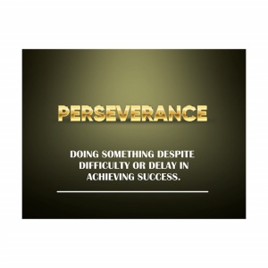 Tablou Motivational - Perseverance - Img 3