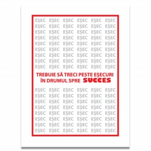 Tablou Motivational - Sa Treci Peste Esecuri - Img 4