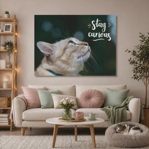 Tablou Motivational - Stay Curious