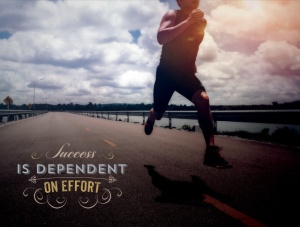 Tablou Motivational - Success Is Dependent On Effort - Img 4