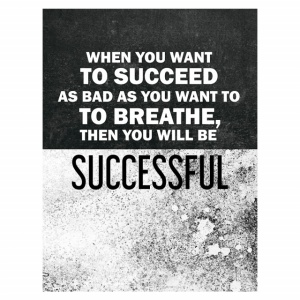 Tablou Motivational - When You Want To Succeed - Img 4