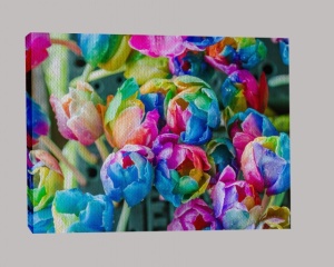 Tabloul Canvas Efect Pictura Lalele Multicolore