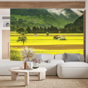 Foto tapet Green and yellow fields