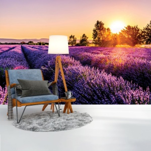 Foto tapet Lavender fields