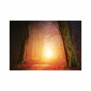 Foto tapet To the light - Img 2