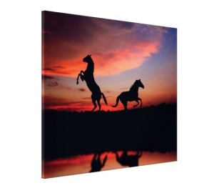 Tablou Canvas - Apus Cu 2 Cai - Img 3
