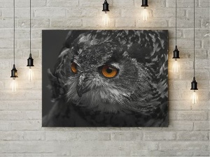 Tablou Canvas Black Owl - Img 3