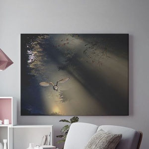 Tablou Canvas Bufnita In Zbor