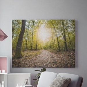 Tablou Canvas Carare Prin Padure