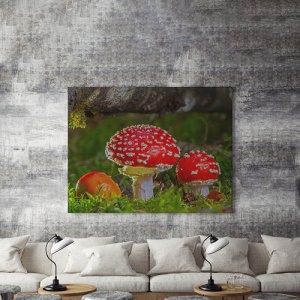Tablou Canvas Ciuperci Rosii - Img 4