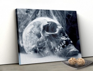 Tablou Canvas - Craniu