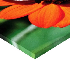 Tablou Canvas - Fluture Si Floare - Img 4
