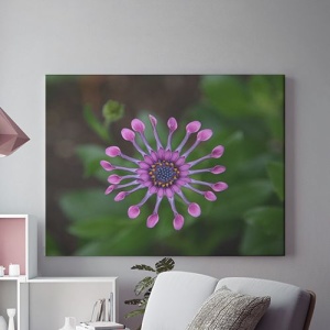 Tablou Canvas Purple Star