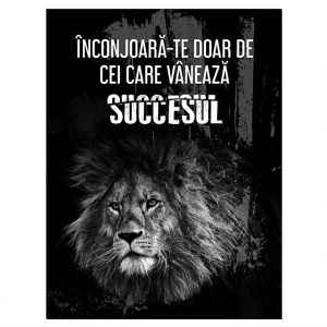 Tablou Motivational - Cei Care Vaneaza Succesul - Img 3
