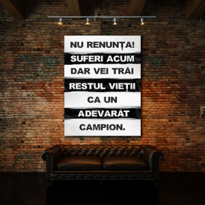 Tablou Motivational - Nu Renunta Acum - Img 2
