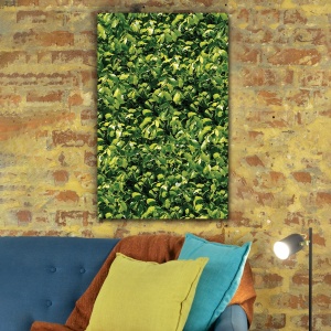 Tablou Vegetatie - Laur decorativ (006)