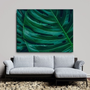 Tablou Vegetatie - Tropical Plant Close-Up (073)