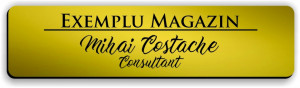 Ecuson personalizat gravat cu nume si/sau logo 8x2cm, auriu - Img 2