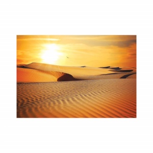 Foto tapet Golden desert - Img 2