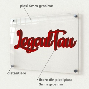 Sigla din plexiglass decupata pe contur pe baza de plexi transparent 20x30cm - Img 2