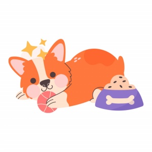Sticker Copii - Cute corgi - Img 2