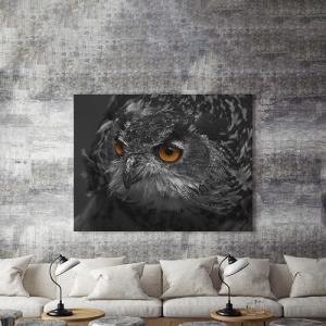 Tablou Canvas Black Owl - Img 4