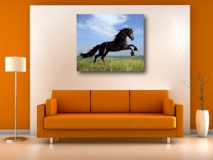 Tablou Canvas - Cal negru alergand - Img 2
