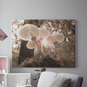 Tablou Canvas Ciuperci In Lumina