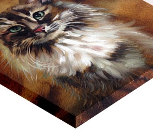 Tablou Canvas Efect Pictura - Pisica - Img 2