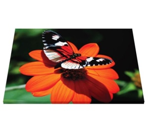 Tablou Canvas - Fluture Si Floare - Img 5