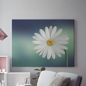 Tablou Canvas Margareta