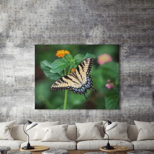 Tablou Canvas Pastel Butterfly - Img 3