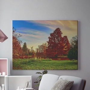 Tablou Canvas Peisaj Copaci Si Campie
