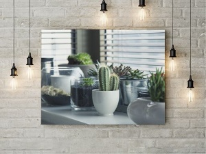 Tablou Canvas Plante De Apartament - Img 2