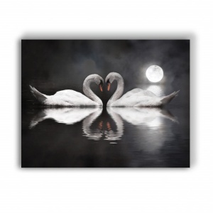 Tablou Canvas Swans In Love - Img 4