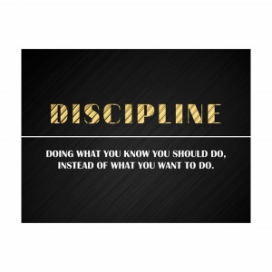 Tablou Motivational - Discipline - Img 3