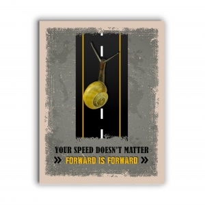 Tablou Motivational - Forward Is Forward - Img 4